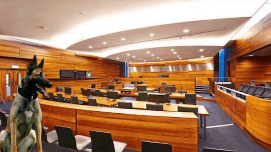 CSI Expert Witness Courts Tribunals 2019