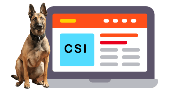 CSI Contact page Snap laptop