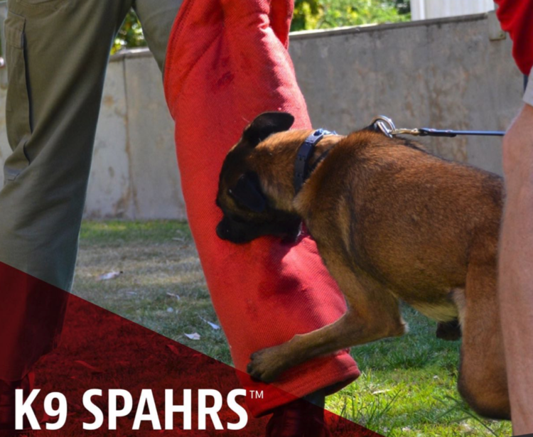 K9 SPAHRS Dog Bite Prevention Training